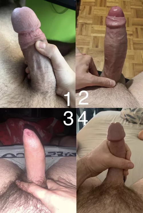 Which cock has got your eye?