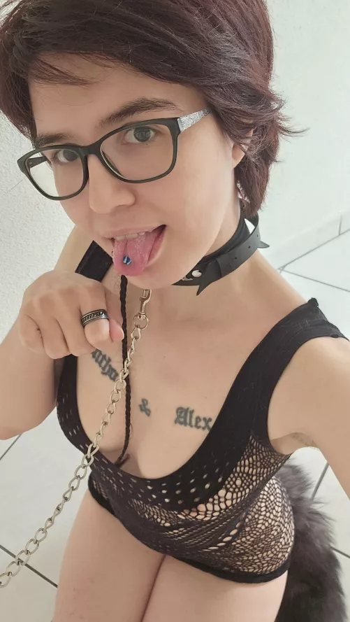 Who takes me for a walk ?♡