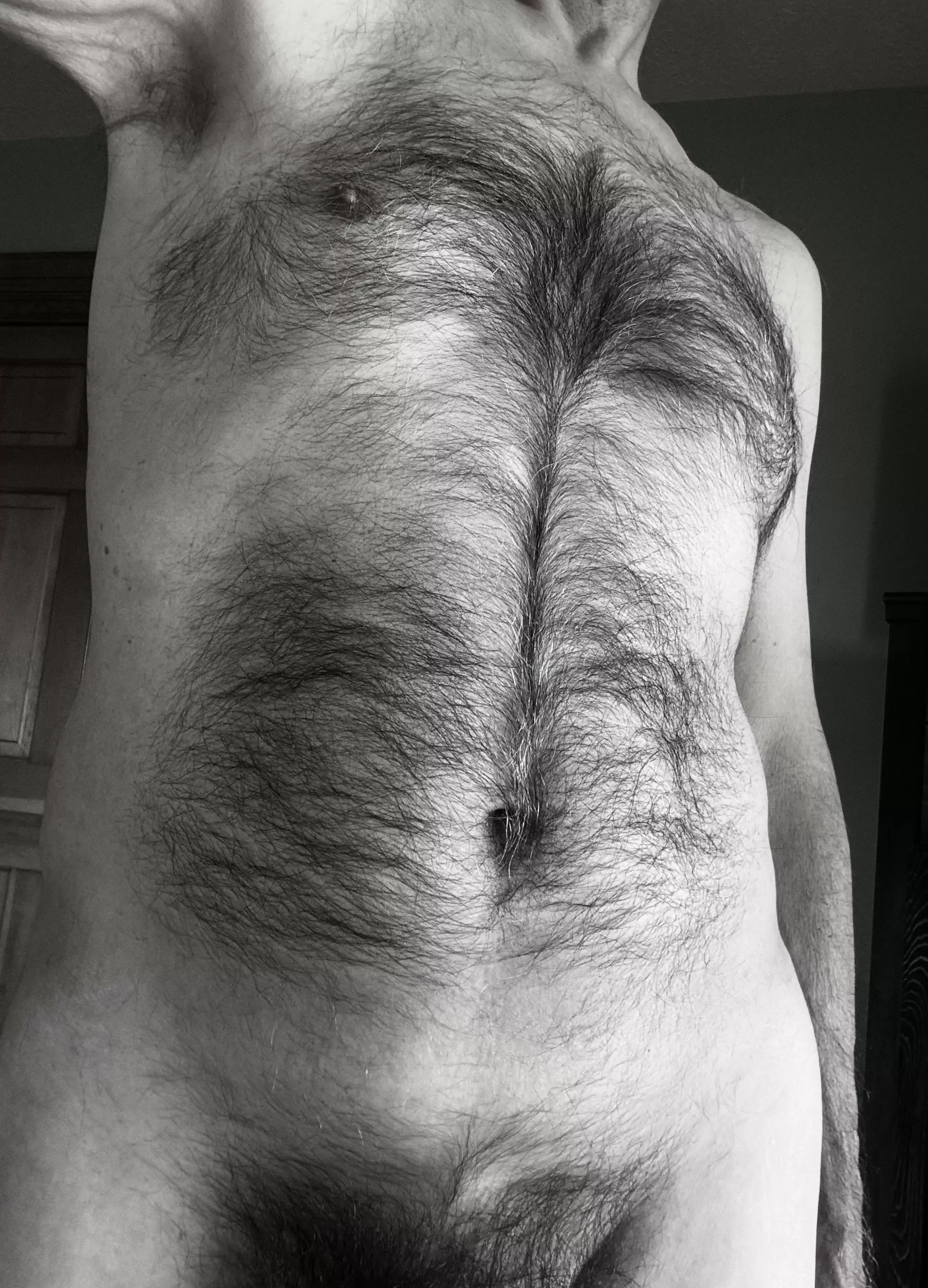 A little bit of fur for your hump day?