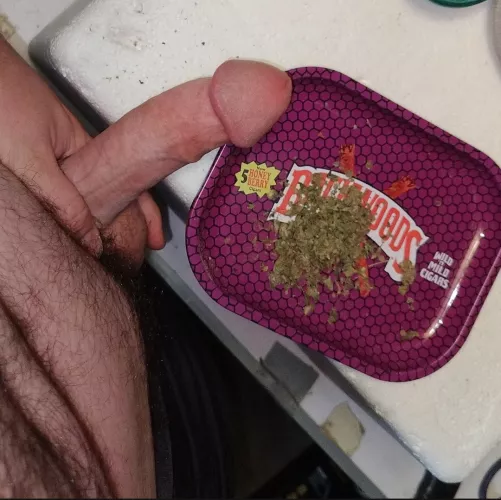 About to roll up and then s[m]oke 🍃