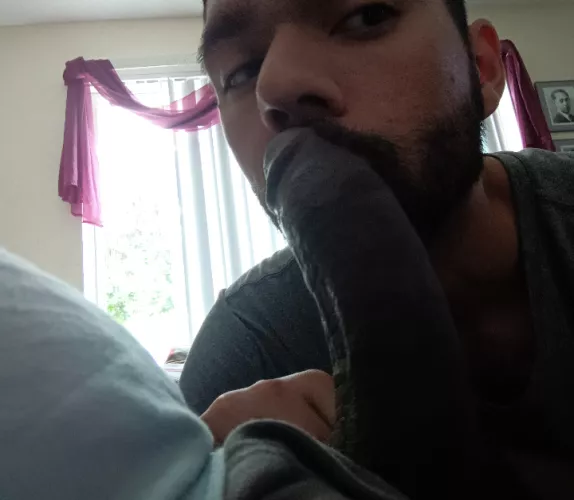 Been a while since I posted here