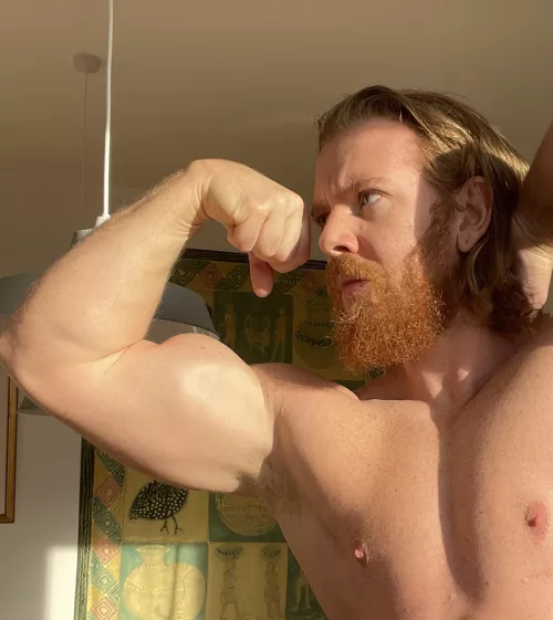 Burry your face in my Norse pits