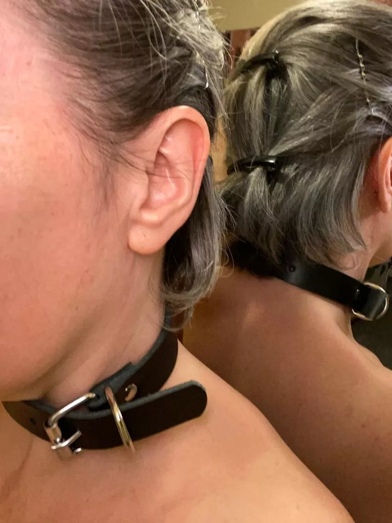 Clipped and adjusting her new Collar for fit.