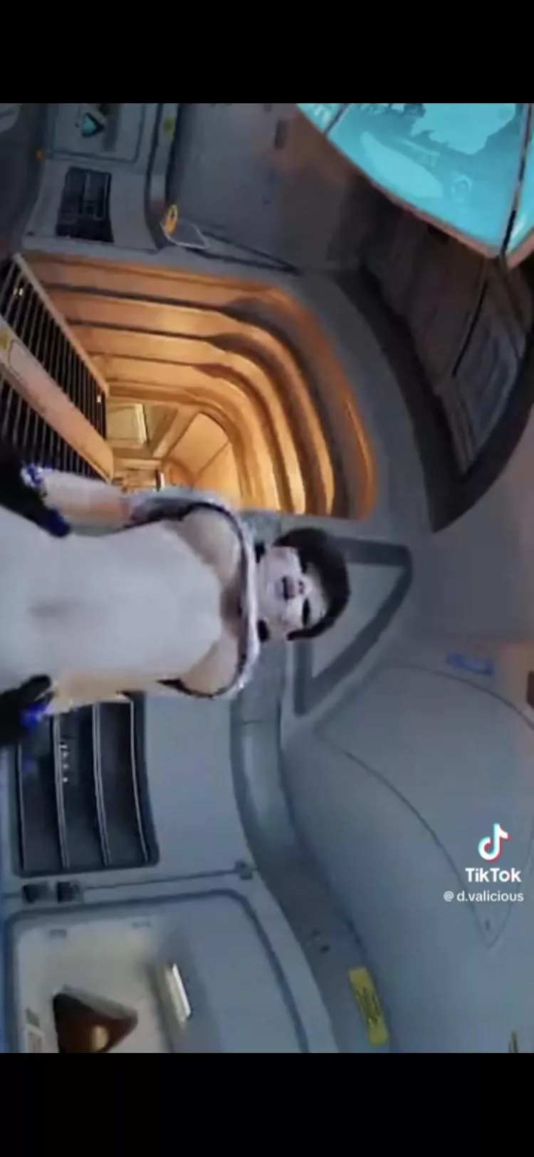 Does anyone have the link for this Dva video?