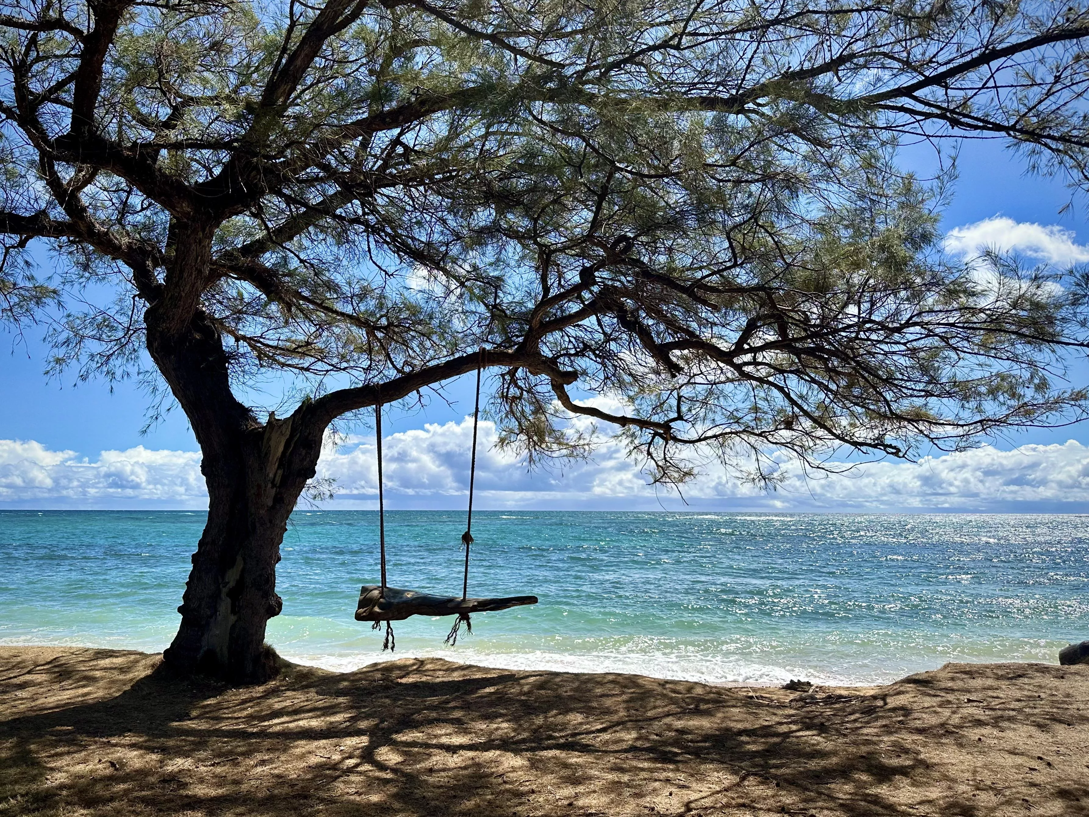How long would you sit on this swing and soak up your environment?