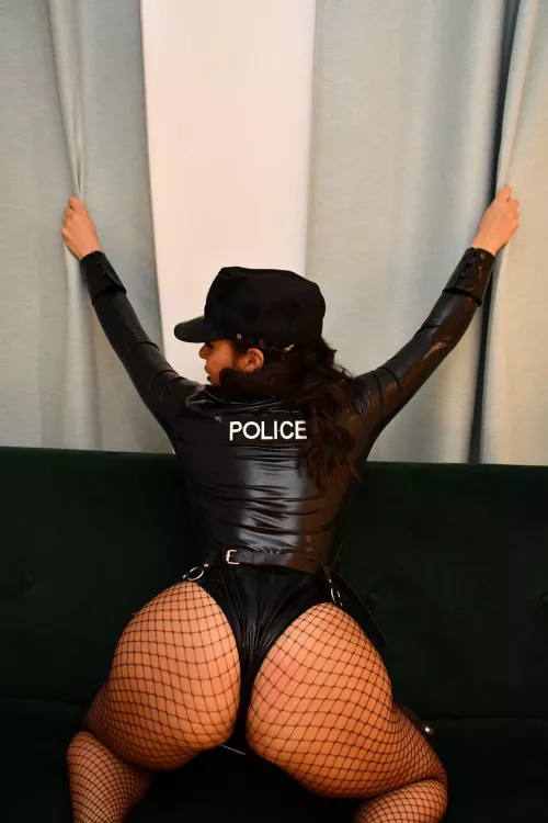 koban joshi [Police in a pod] (hakozume)