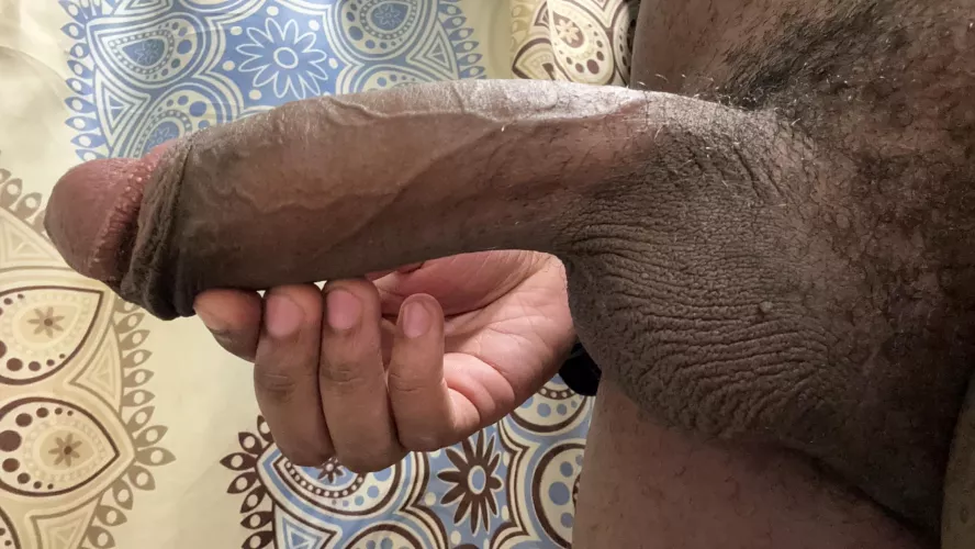 Make sure you get your protein..