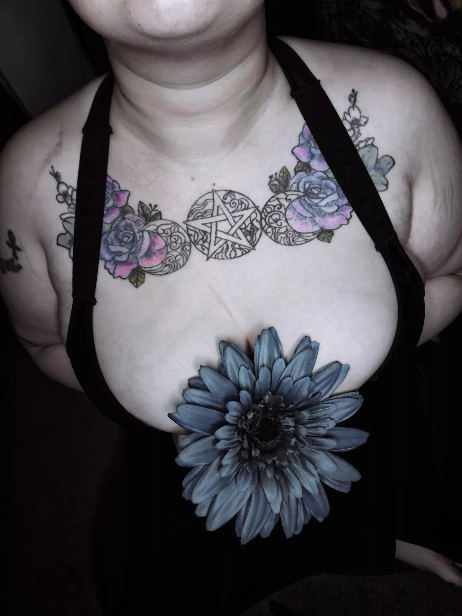 Obsidian Raven Rose (@ObsidianRavenRose) [OnlyFans]