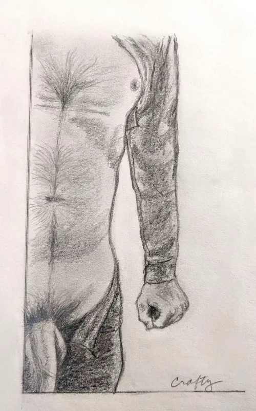 Pencil sketch, male torso, from model who prefers to remain anonymous. Graphite on bristol