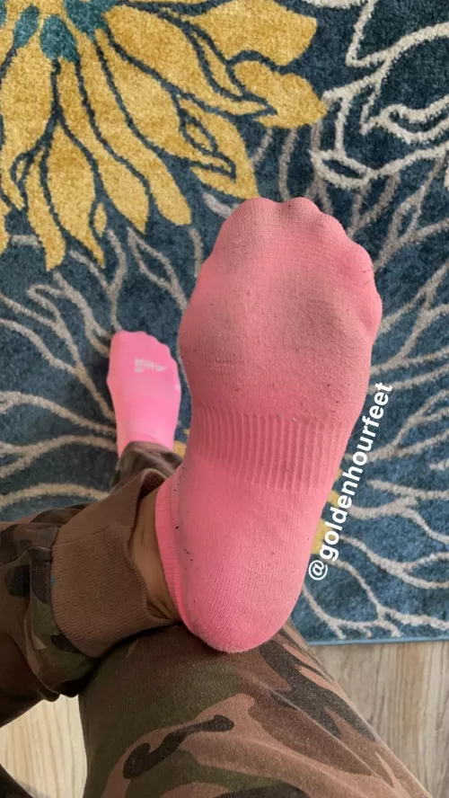 Stop & smell my socks😈