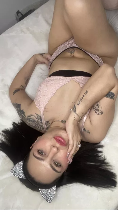 Will you make me purr?