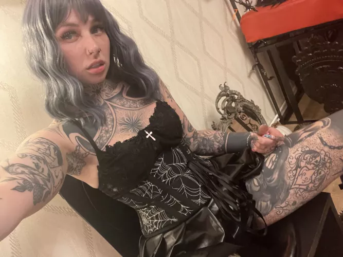 Your new distraction 🖤