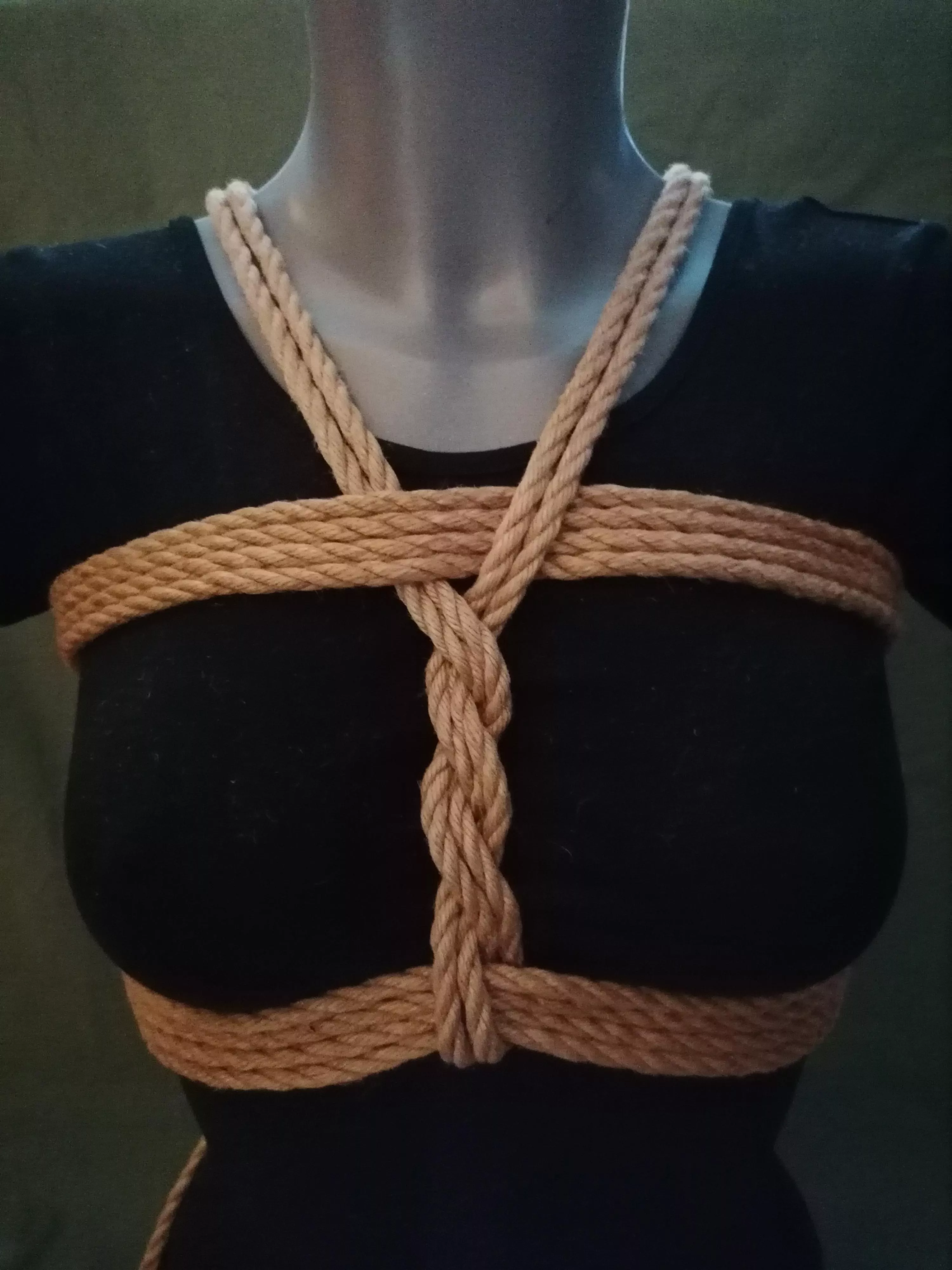 Bikini-Harness routine