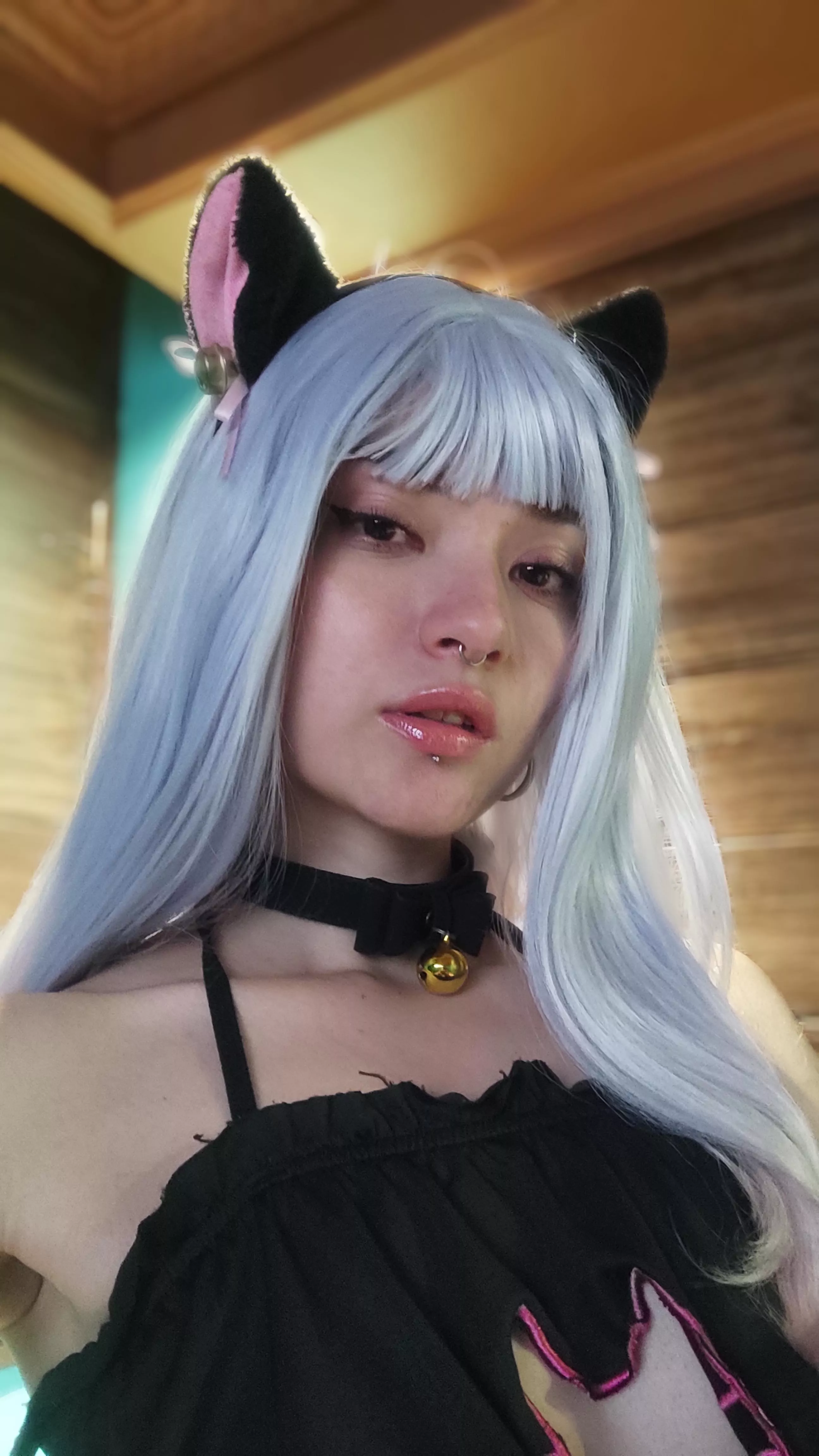 can you adopt this kitty? :3