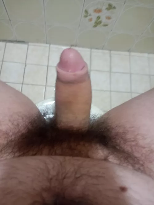 hard and horny dms open!