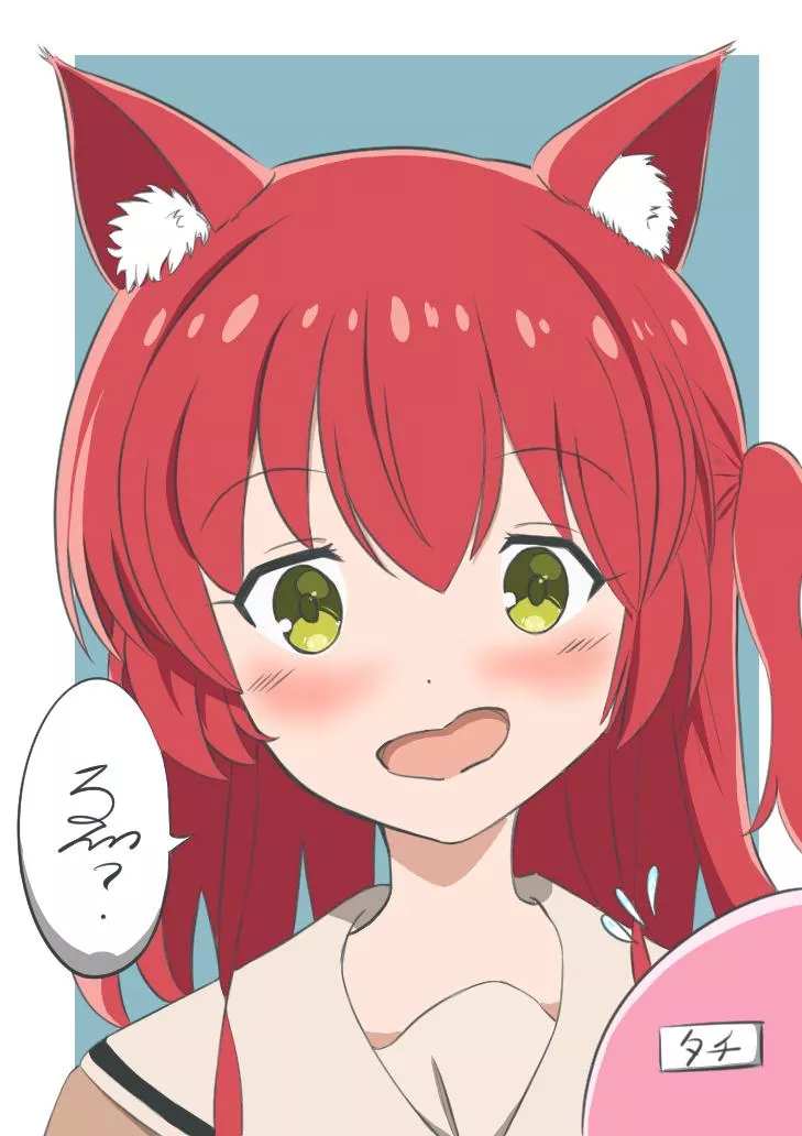 [OC] Cat Kita-chan (Bocchi The Rock)