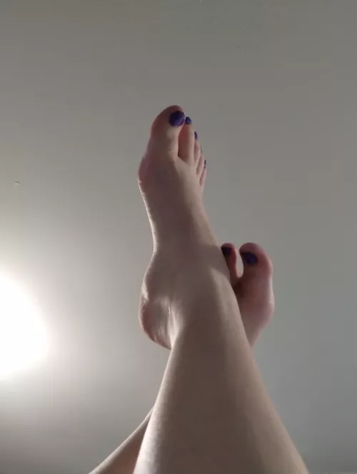 Purple is such a pretty color, don't you agree?