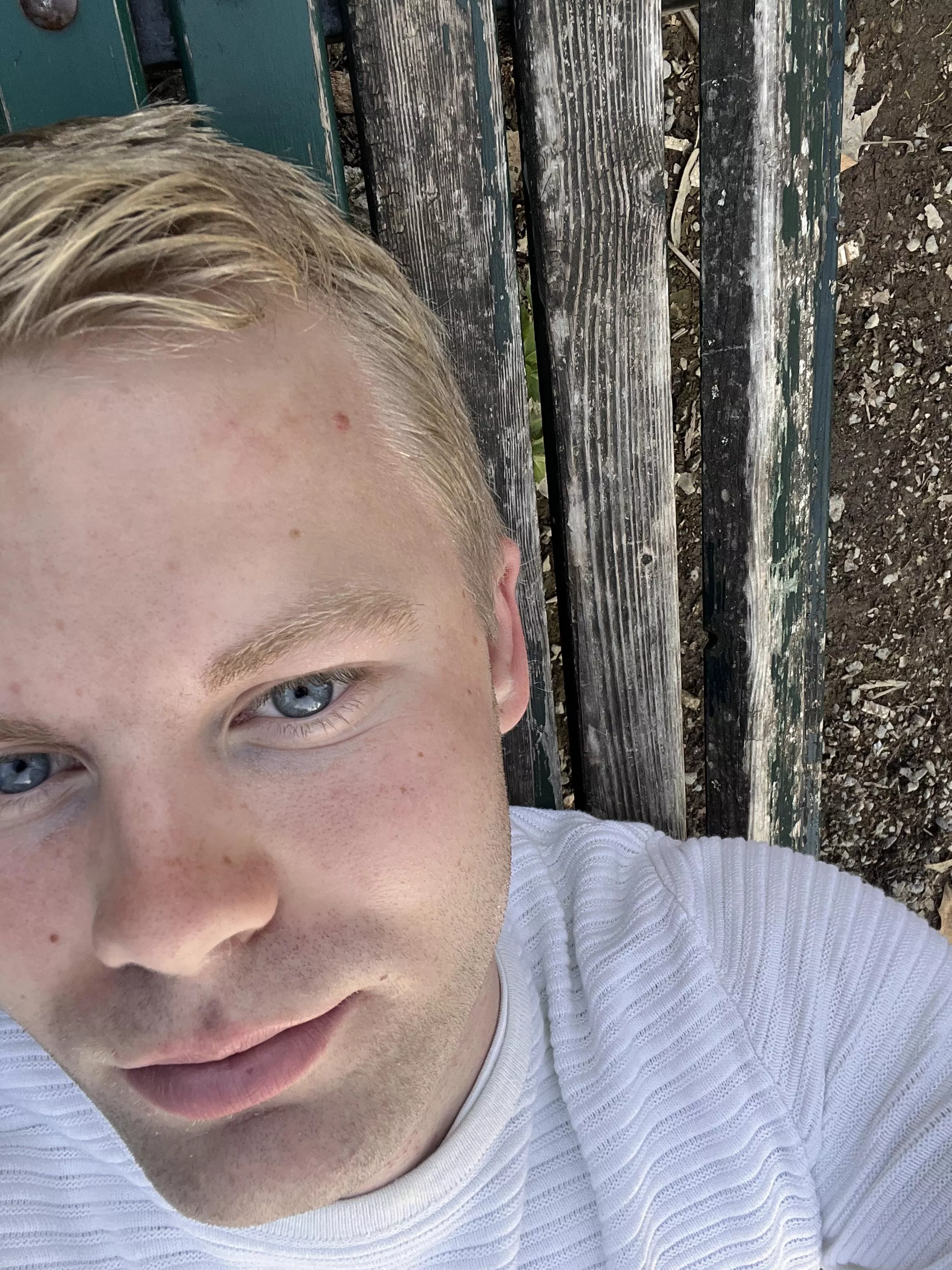 This bench was actually pretty comfy This bench was actually pretty comfy