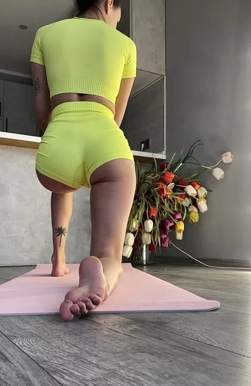 This palm tree has a history