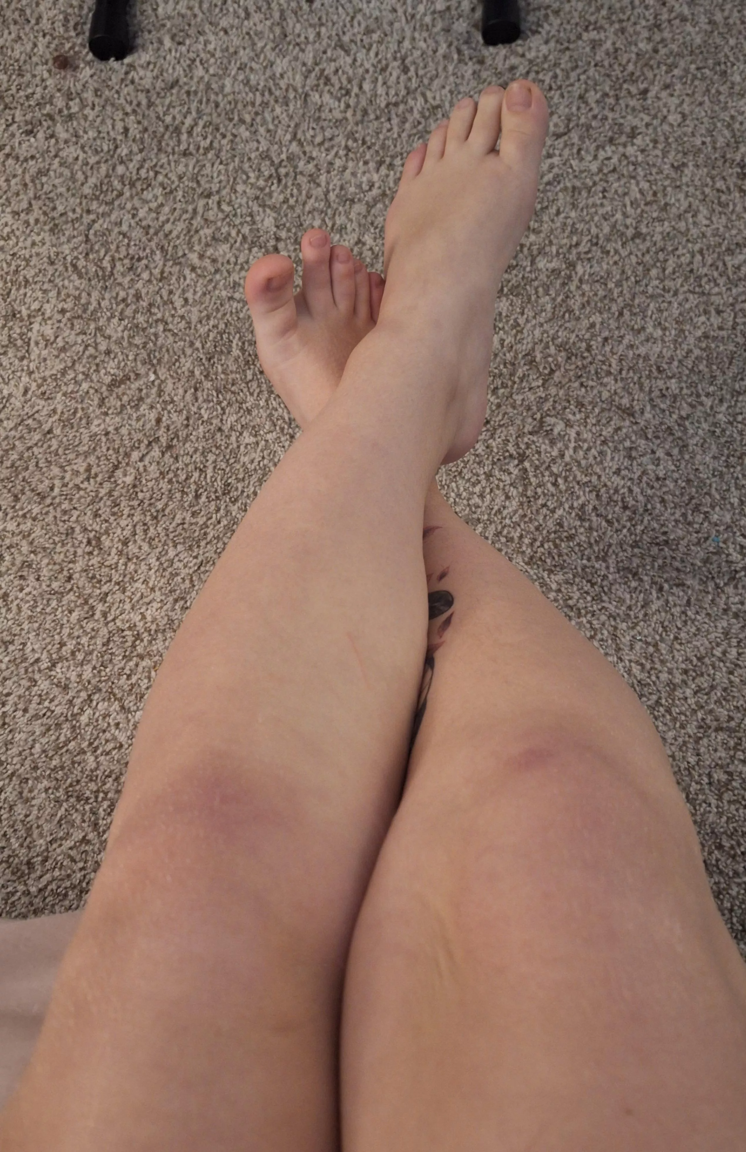 What color should I paint them??