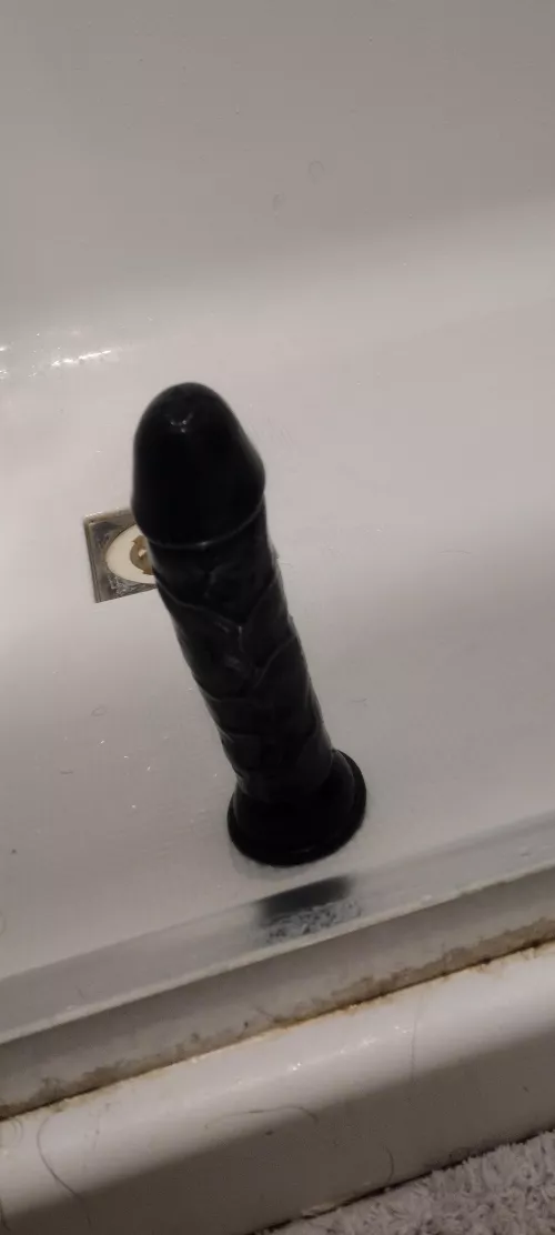 Afternoon shower sessions with this fella