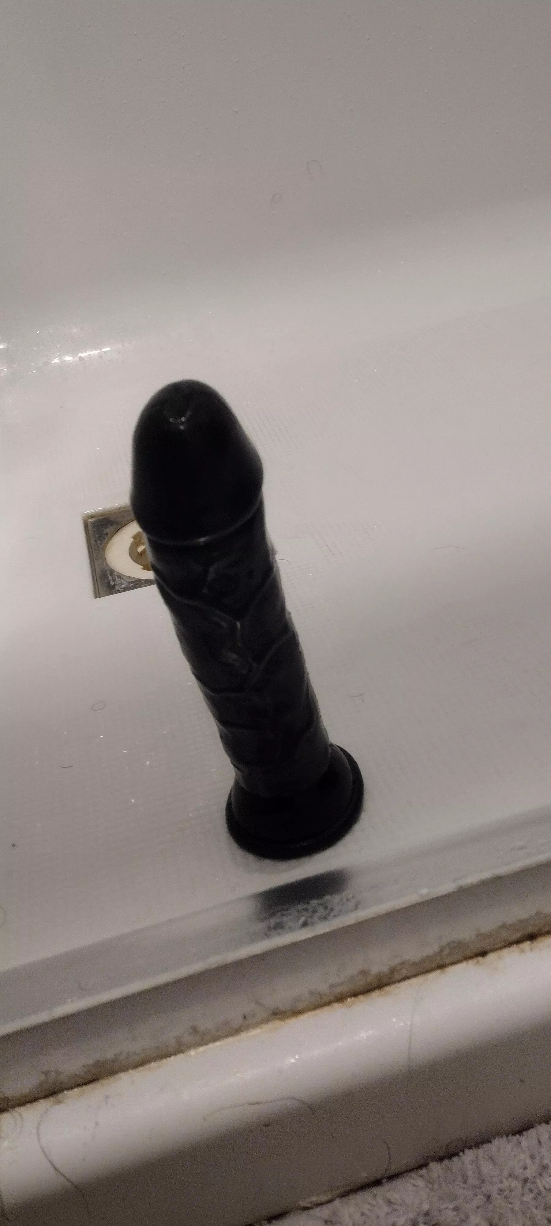 Afternoon shower sessions with this fella