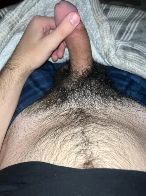 any hairy daddies on