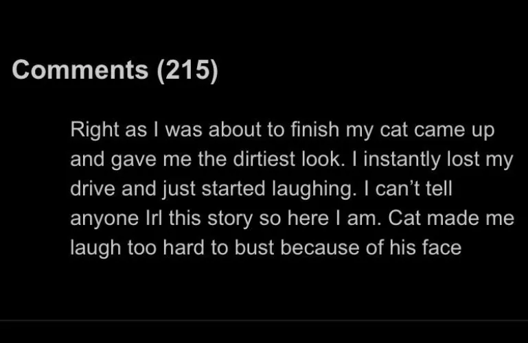 cat prevents guy from busting nut