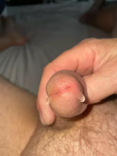 Double sided dragon!