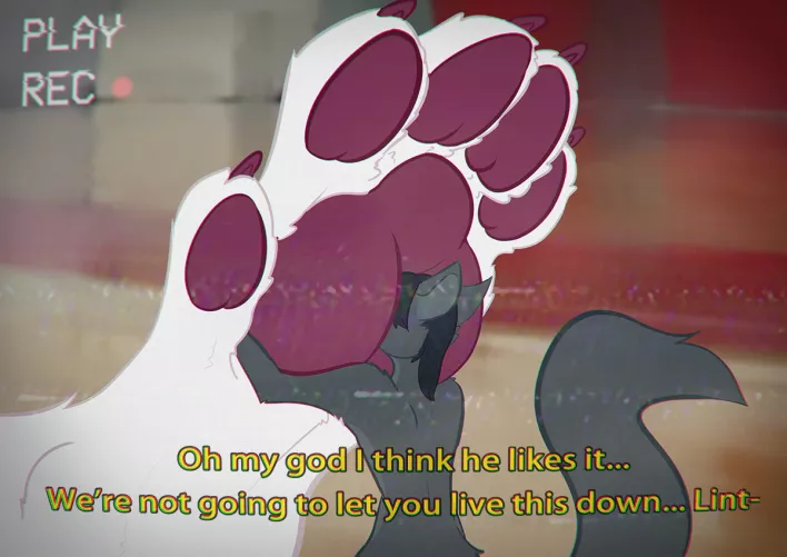 How to treat your small friends: