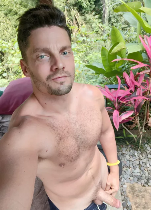 Just casually hanging out in the jungle