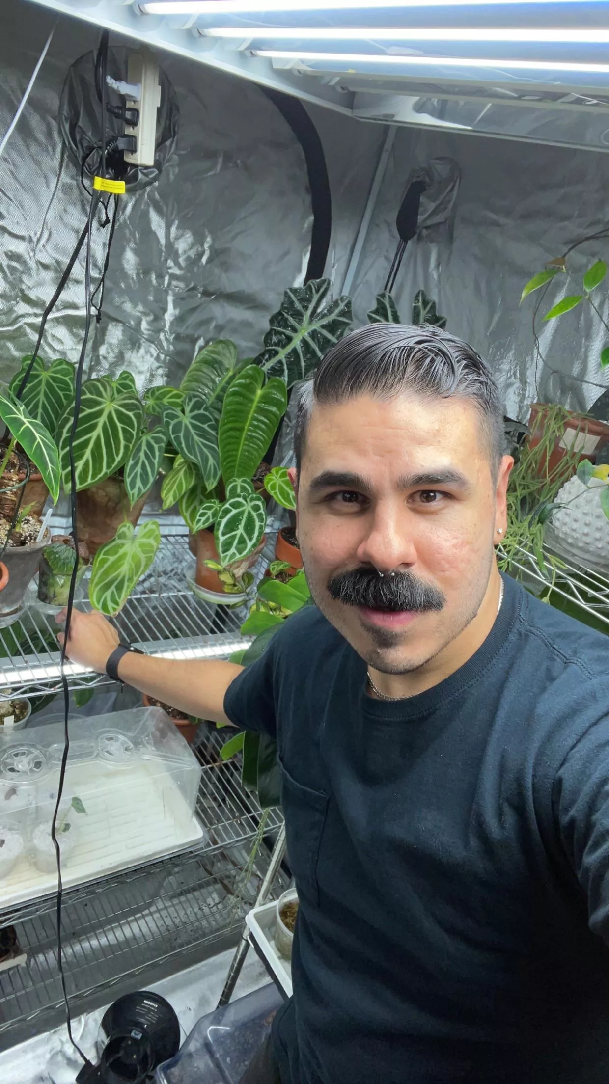 Just me and my Anthuriums 💁‍♂️🪴