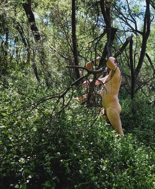 Just some lunchtime exploring