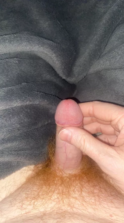 My softie. Should I shave or not?