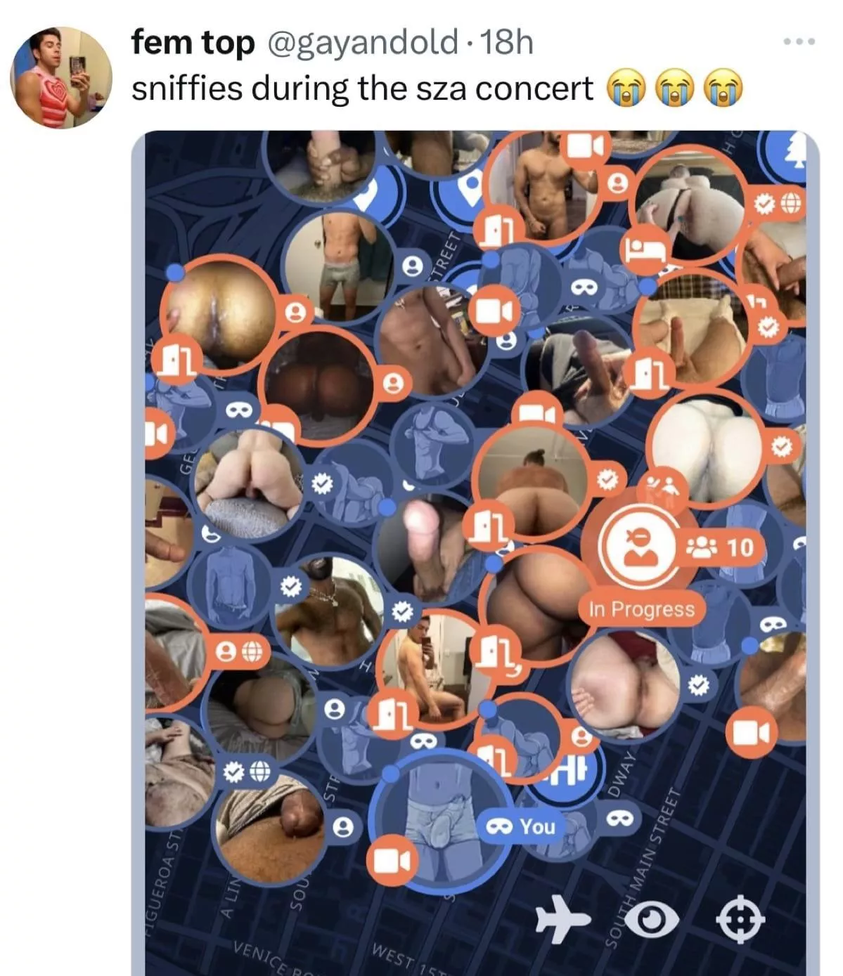 Sniffies during SZA concert