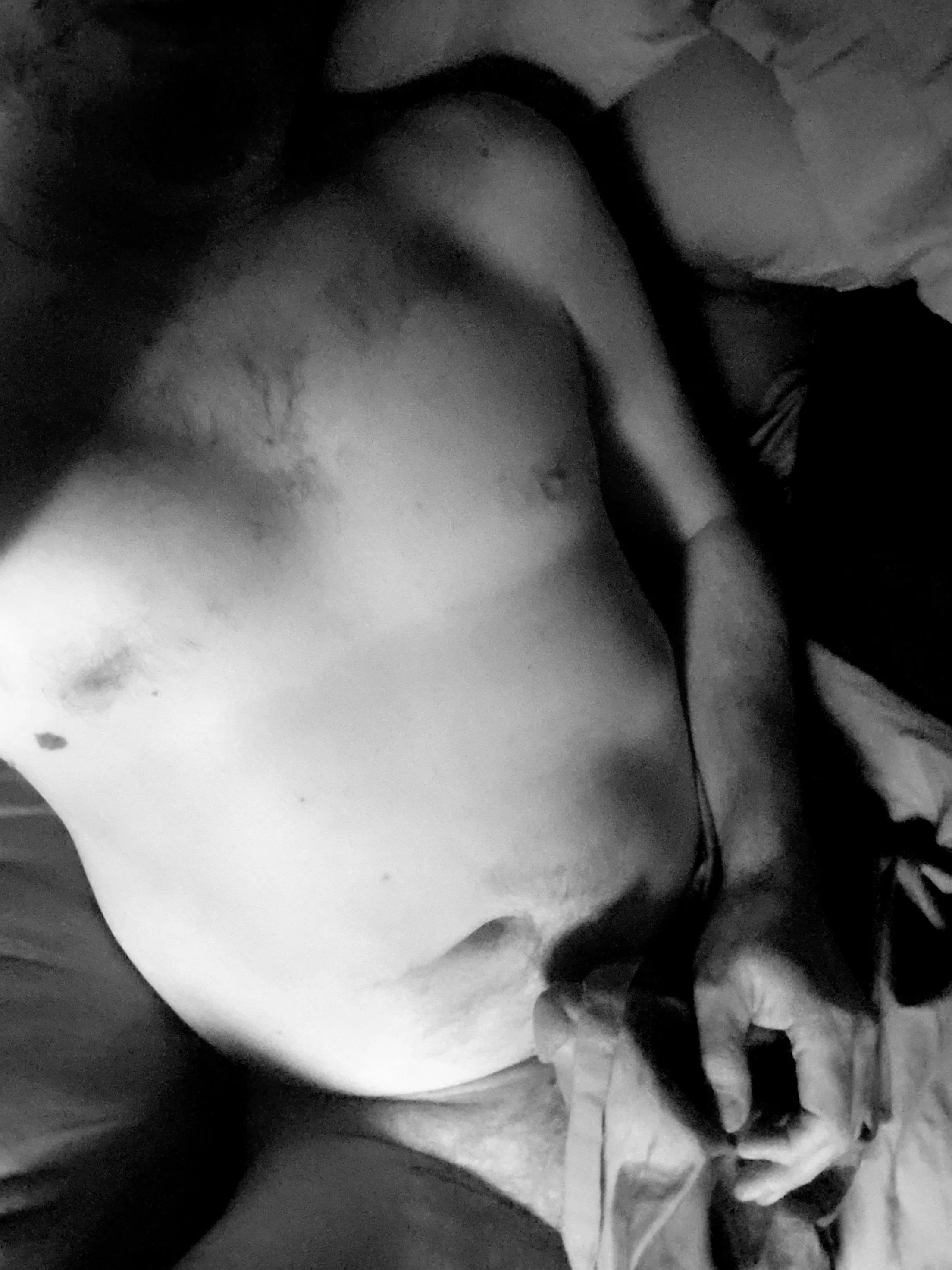 Soft bellied dads go wild too.