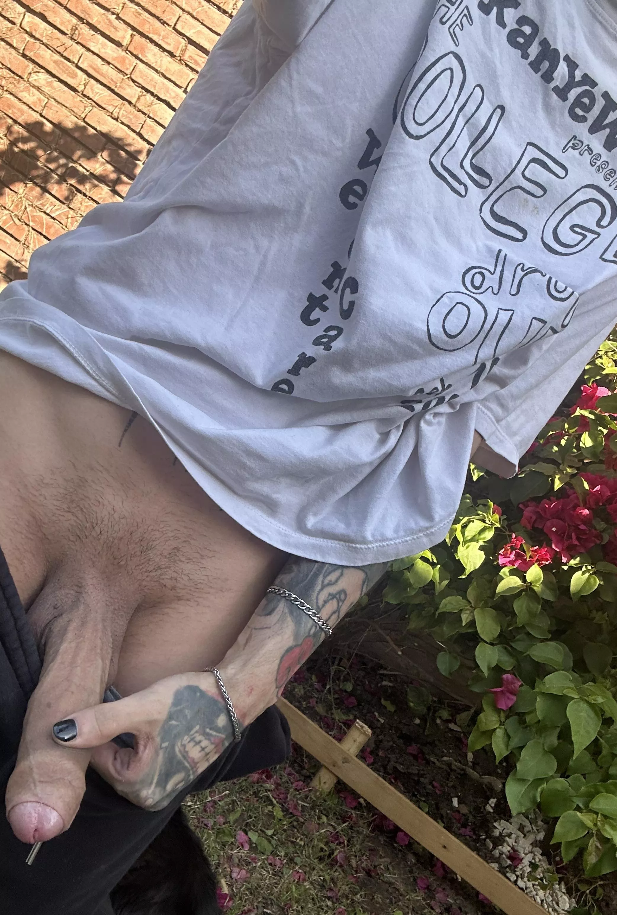 What would you do if you saw me like this in the park?