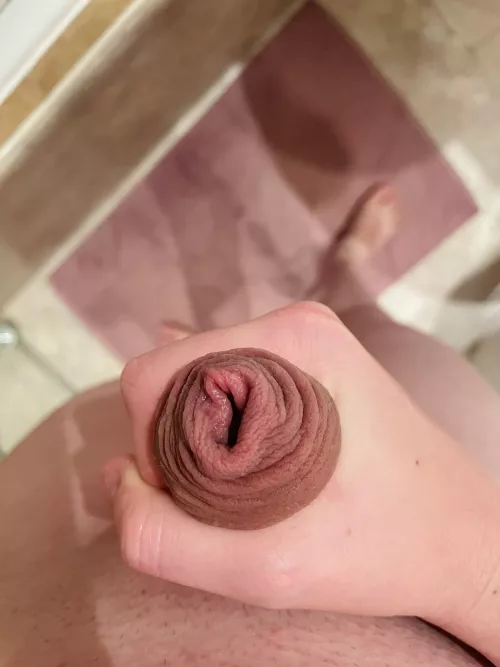 Would you accept this rose? 🌹