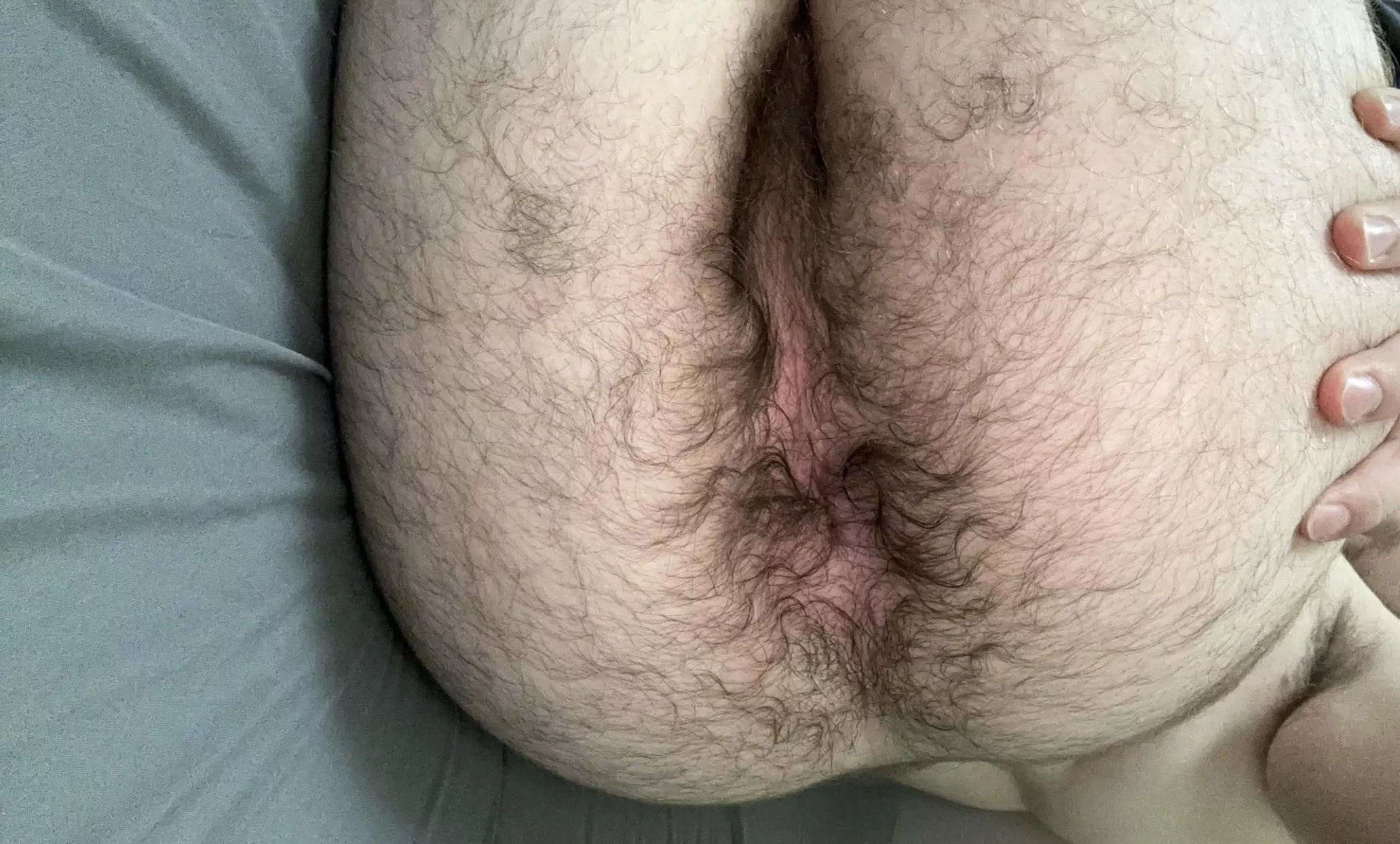You like hairy college ass? ;)