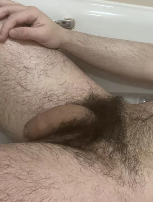 You like the look of my soft hairy cock?👑🍆Dms open😈💦