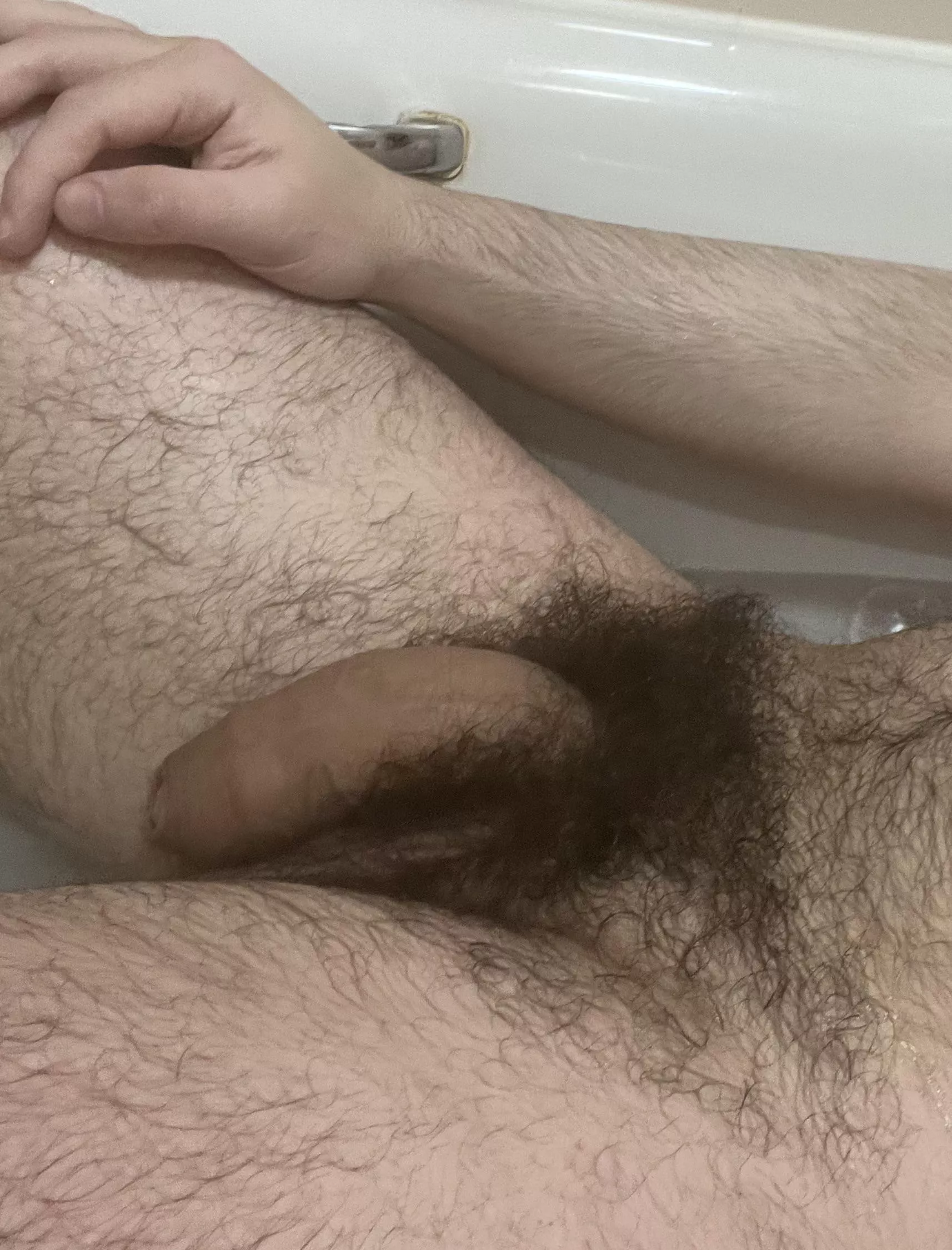 You like the look of my soft hairy cock?👑🍆Dms open😈💦