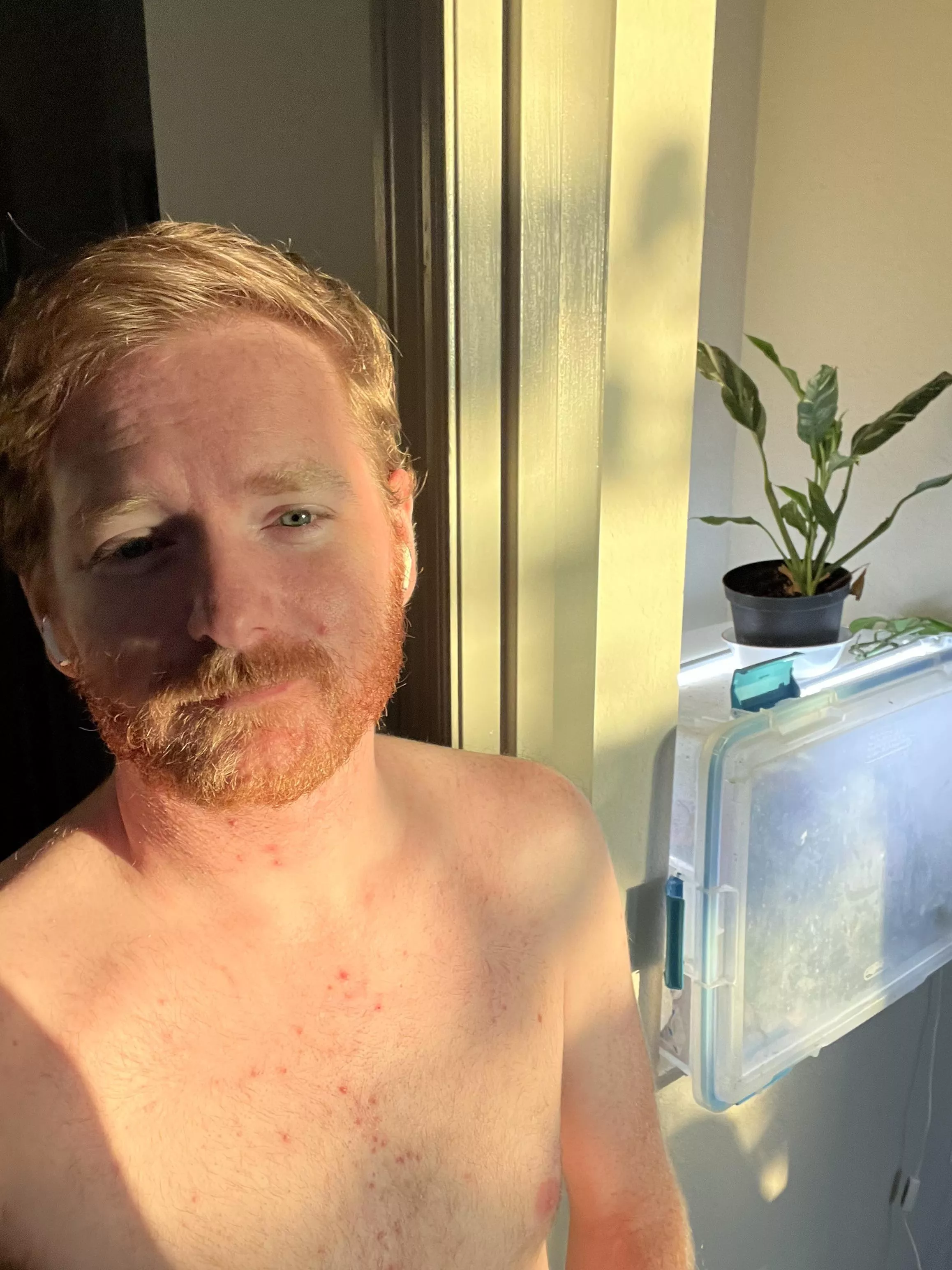 32: I finally caught that sunrise glow pic today. 32: I finally caught that sunrise glow pic today.