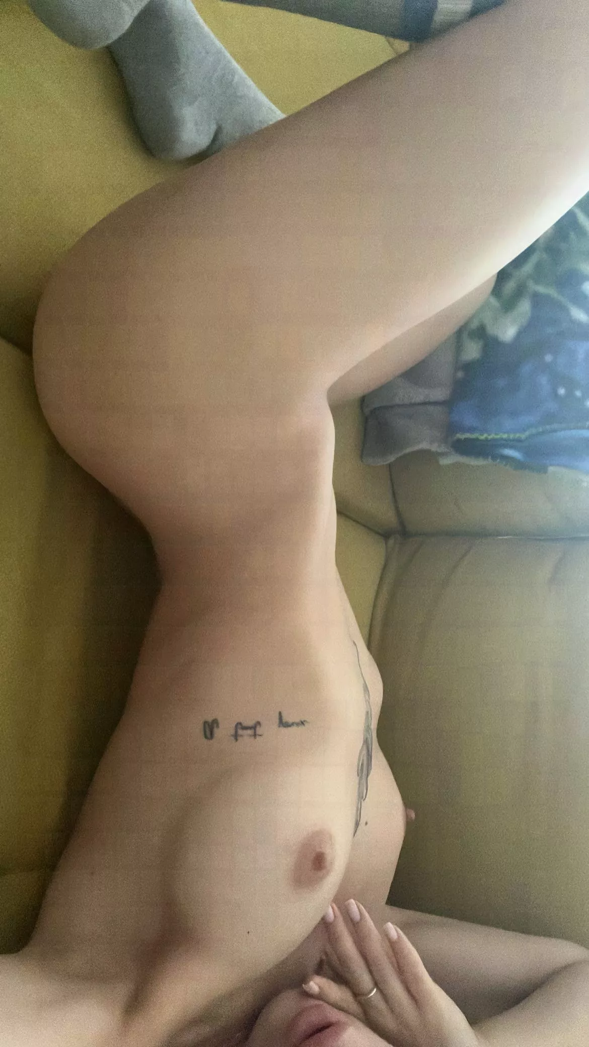 Decided to be the main dish on this table