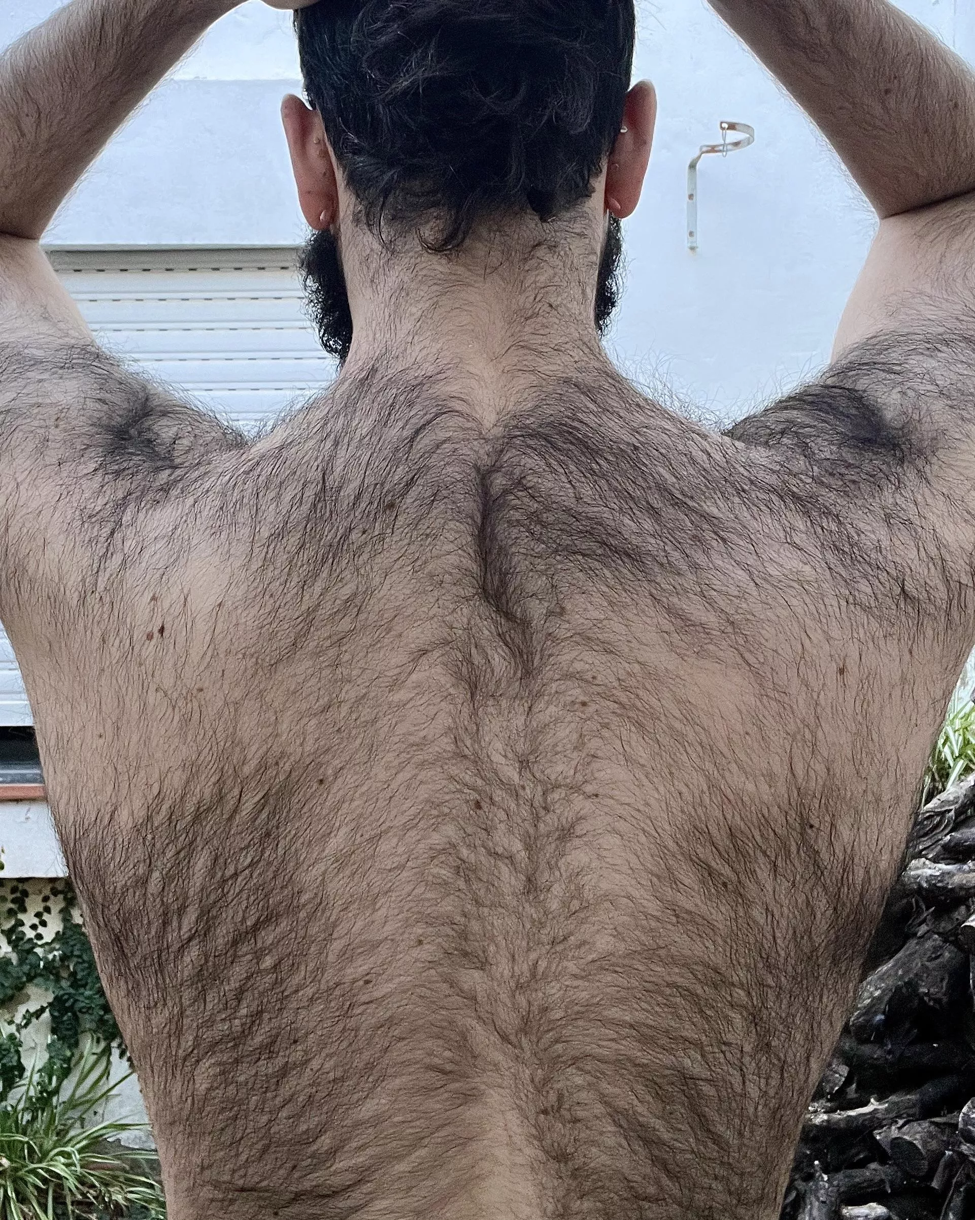 Do you like hairy backs too?