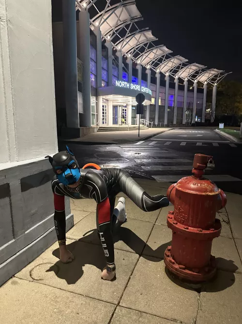 Puppy had to mark his territory!