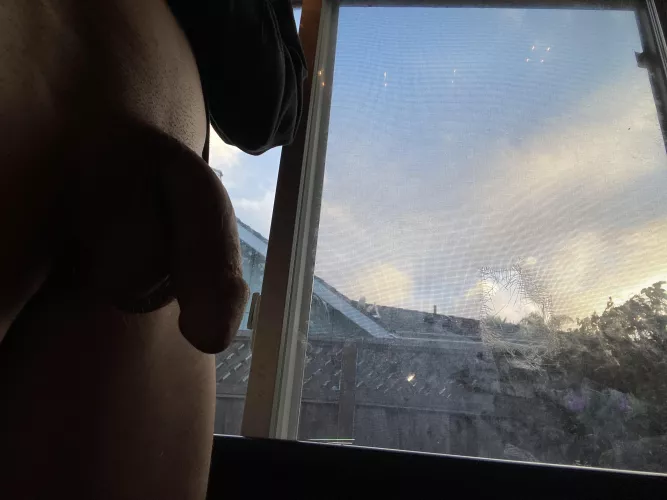 sunrise and shadows ☀️