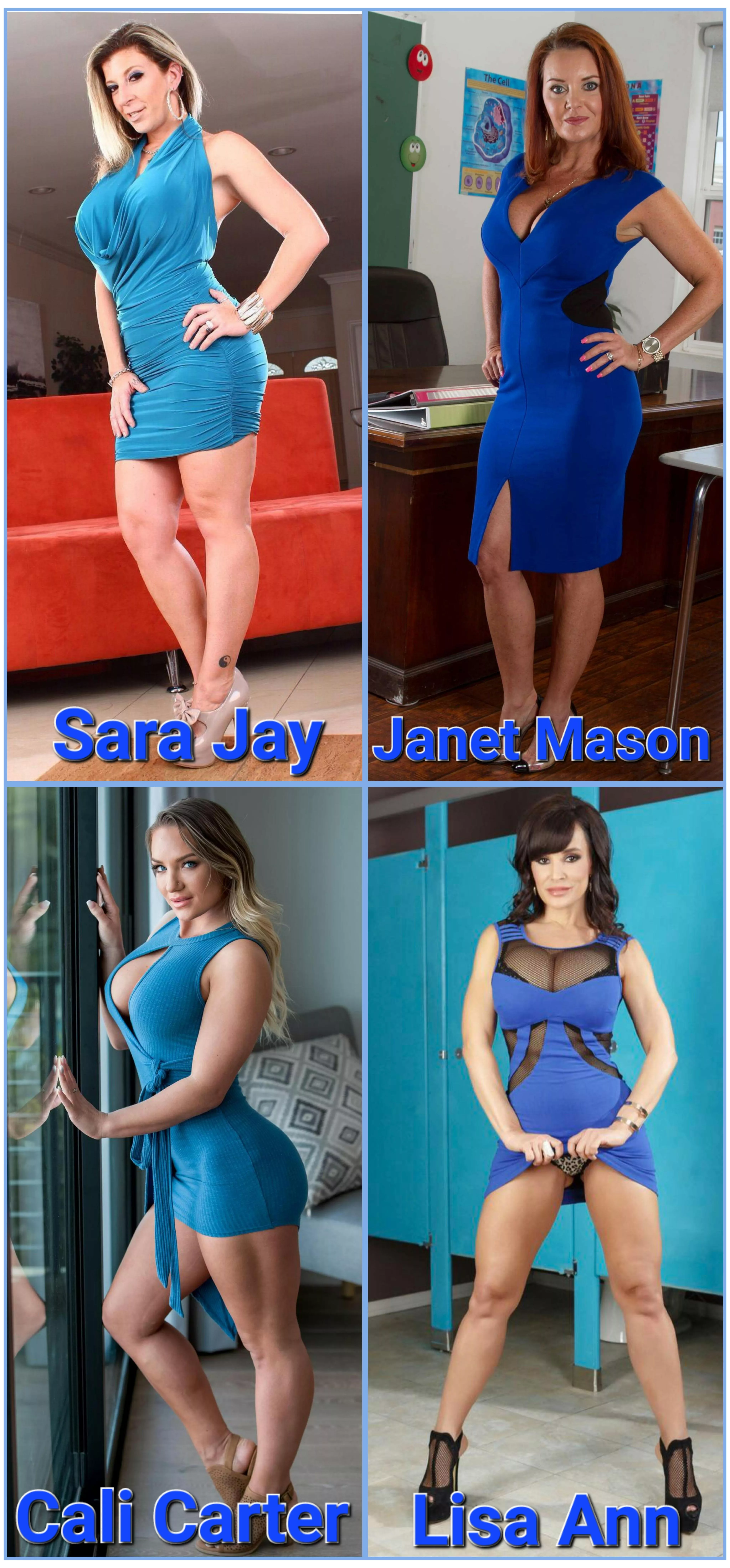 Who fills out their blue dress better? [Sara Jay] [Janet Mason] [Lisa Ann] or [Cali Carter]