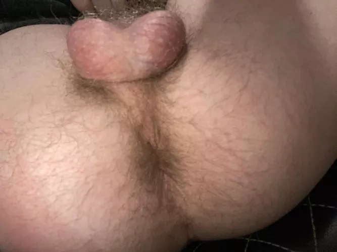 Do you like to eat ass?