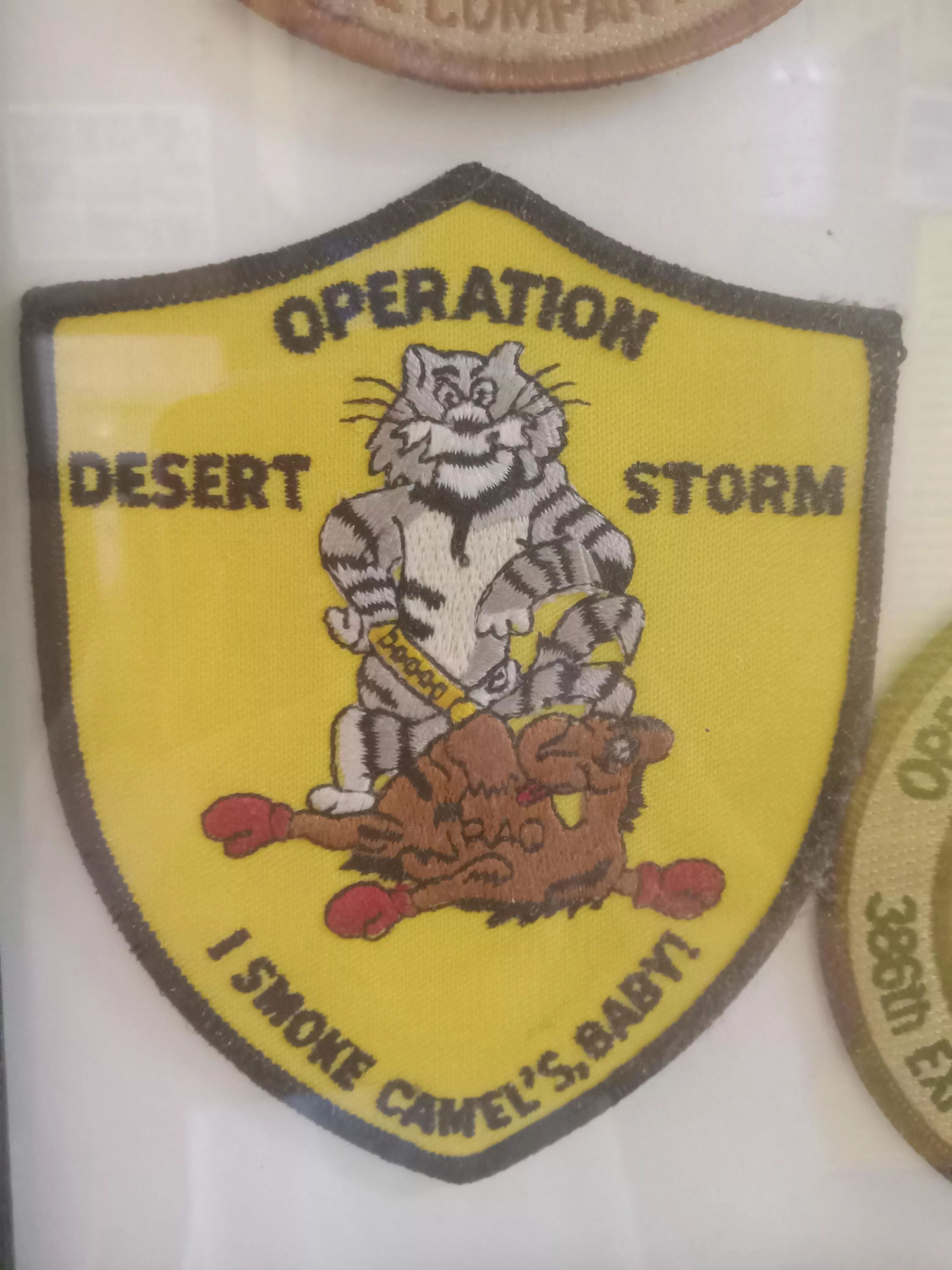 Furry military badge: found in a local restaurant on a conservative island XD