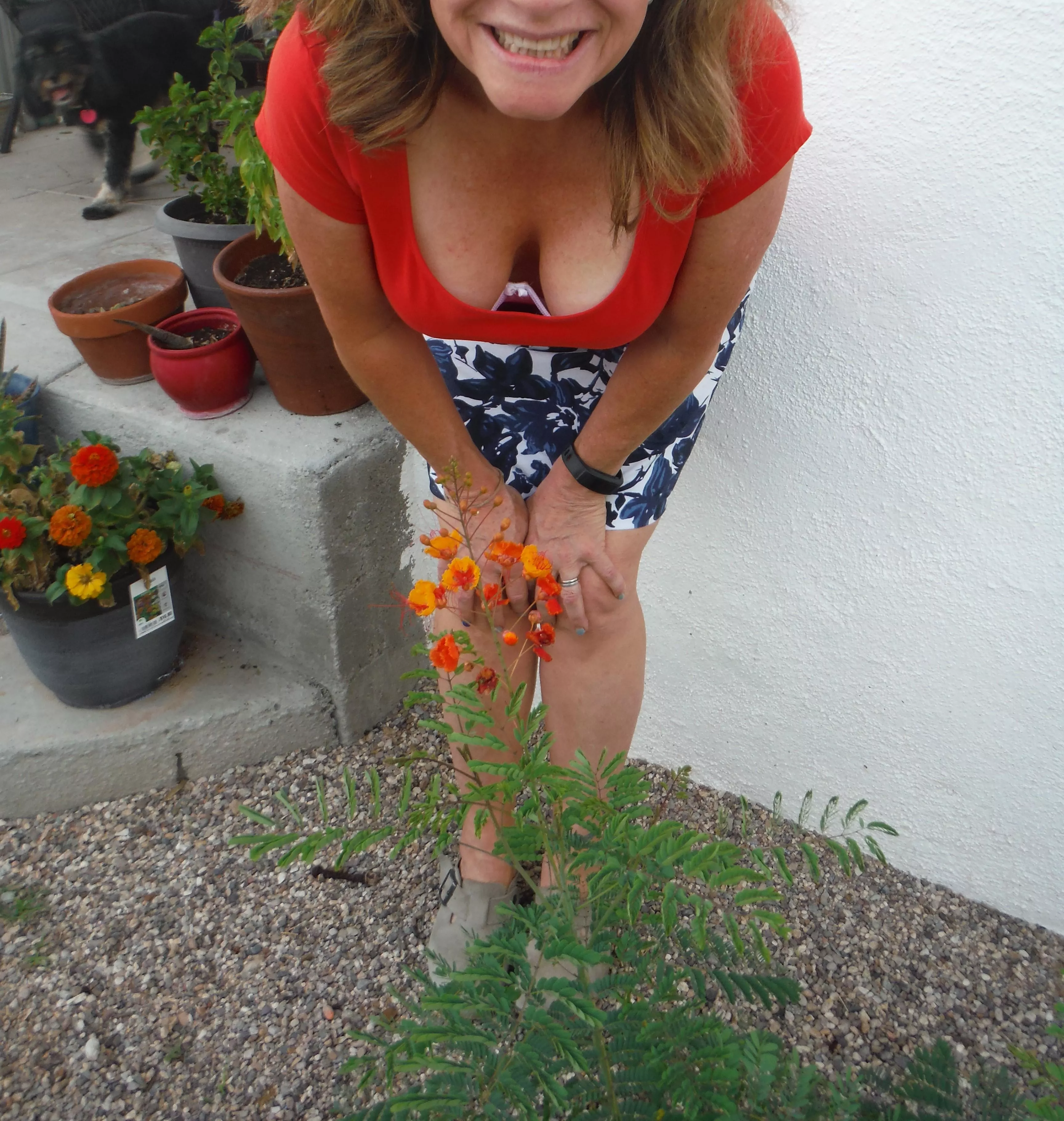 He asked me to pose with his flowers